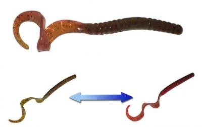 Smartbaits Softbaits Robbie Ribbon Worm 10" 1 Smartbaits Softbaits Robbie Ribbon Worm 10"