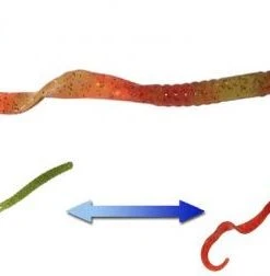 Smartbaits Softbaits Robbie Ribbon Worm 10" 7 Smartbaits Softbaits Robbie Ribbon Worm 10