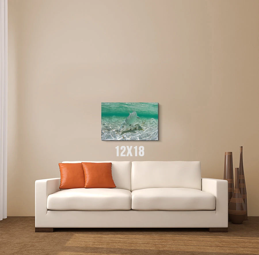 Thefishingshop Bonefish Canvas 2 Thefishingshop Bonefish Canvas
