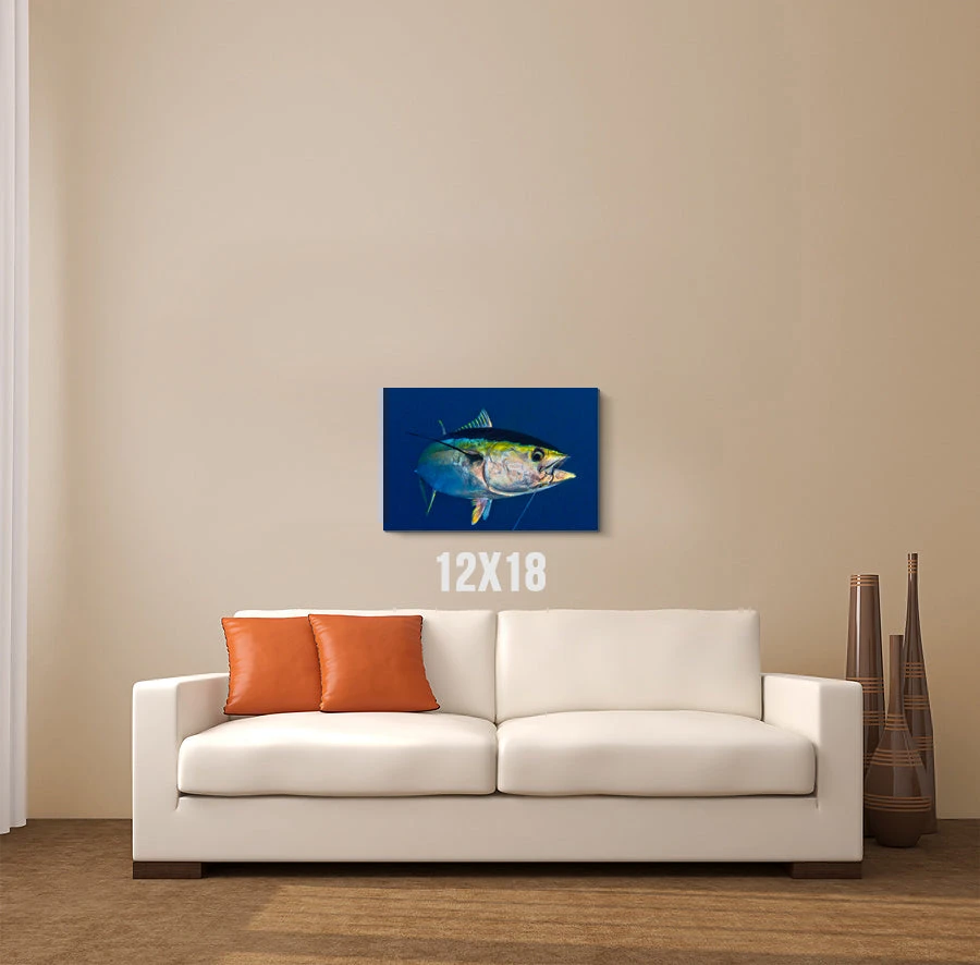 Thefishingshop Canvas Art Swim By Canvas 2 Thefishingshop Canvas Art Swim By Canvas