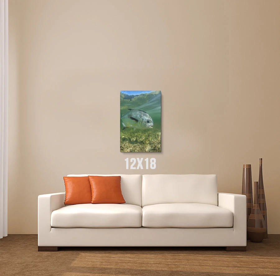 Thefishingshop Canvas Art Simply Swimming Canvas 2 Thefishingshop Canvas Art Simply Swimming Canvas