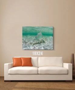 Thefishingshop Bonefish Canvas 6 Thefishingshop Bonefish Canvas