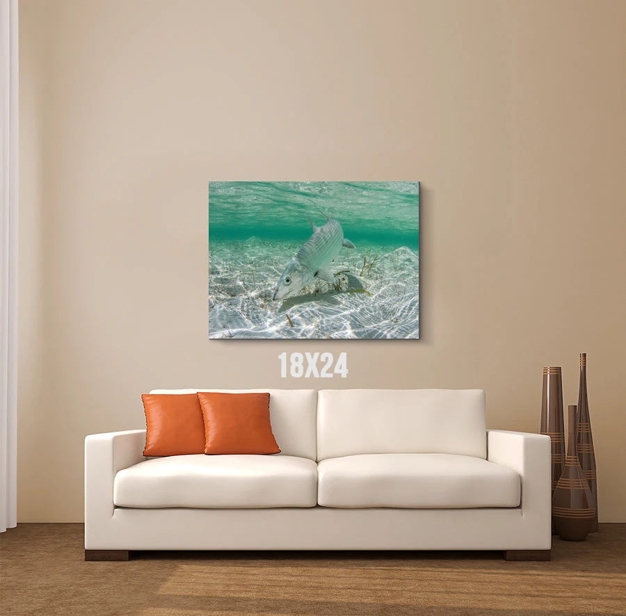 Thefishingshop Bonefish Canvas 3 Thefishingshop Bonefish Canvas