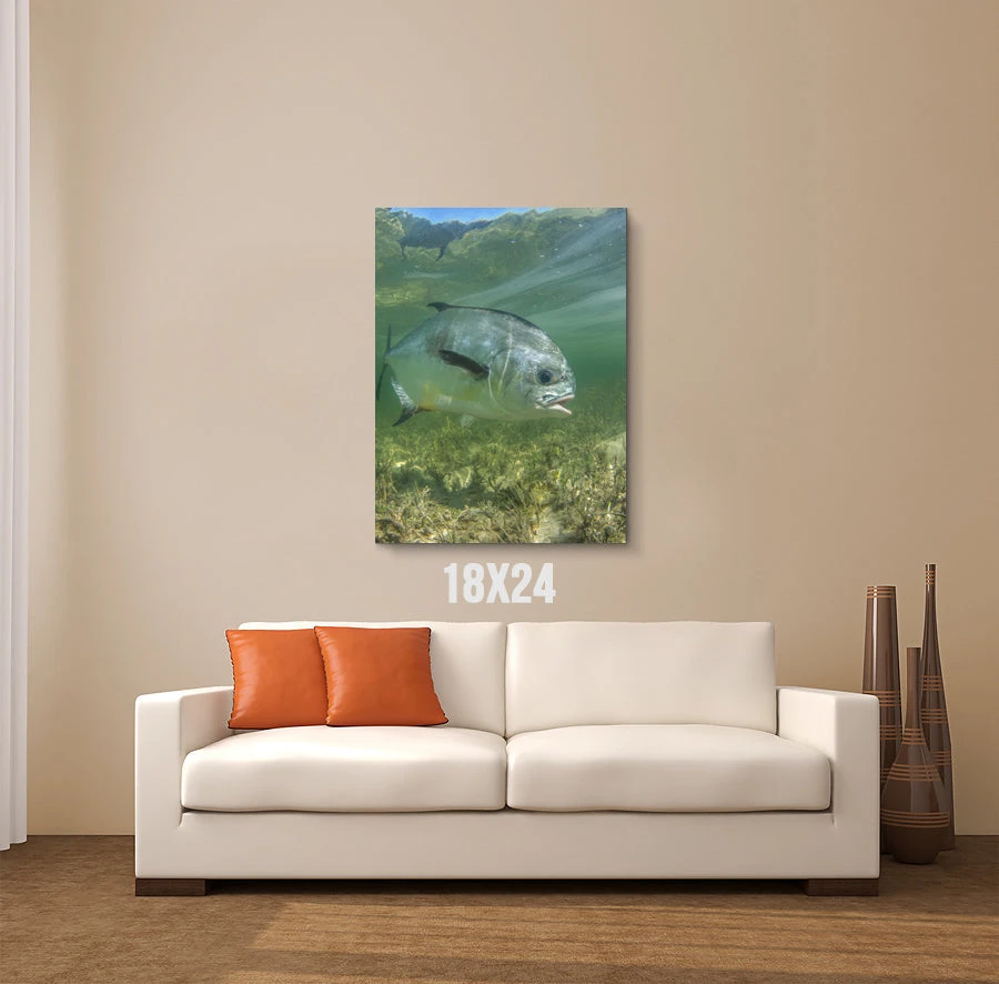 Thefishingshop Canvas Art Simply Swimming Canvas 3 Thefishingshop Canvas Art Simply Swimming Canvas