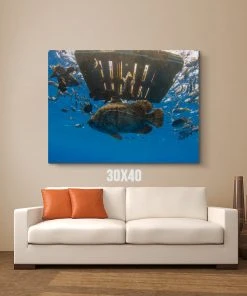 Thefishingshop Canvas Art Fish Pallet Canvas