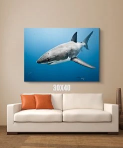 Thefishingshop The Deep Blue Sea Canvas Art