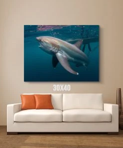 Thefishingshop Shark Canvas Canvas Art