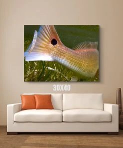 Thefishingshop Fish Tail Canvas