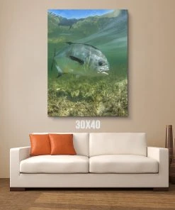 Thefishingshop Canvas Art Simply Swimming Canvas 7 Thefishingshop Canvas Art Simply Swimming Canvas