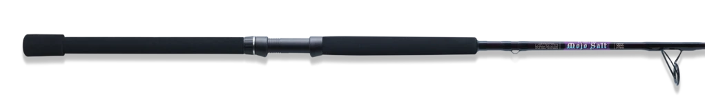 The Fishing Shop Offshore Dolphin Penn Combo Combos 2 The Fishing Shop Offshore Dolphin Penn Combo Combos