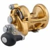 Gater Jim's Penn 12VSX International Two Speed Conventional Reel - 12VISX Reels
