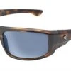 Gator Jim's La Jolla Tortoise Salt Life Sunglasses