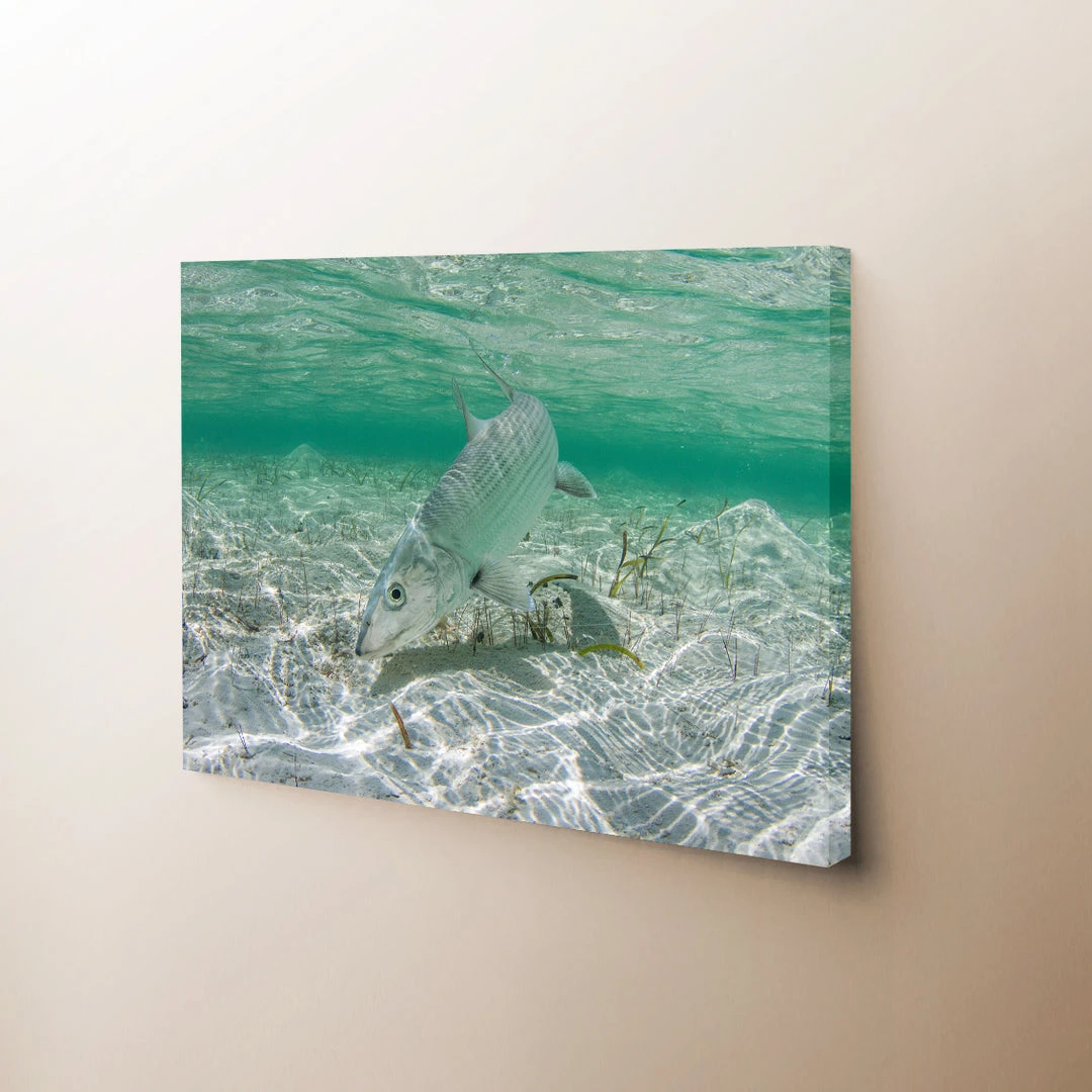 Thefishingshop Bonefish Canvas 1 Thefishingshop Bonefish Canvas
