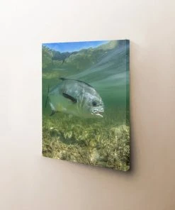 Thefishingshop Canvas Art Simply Swimming Canvas