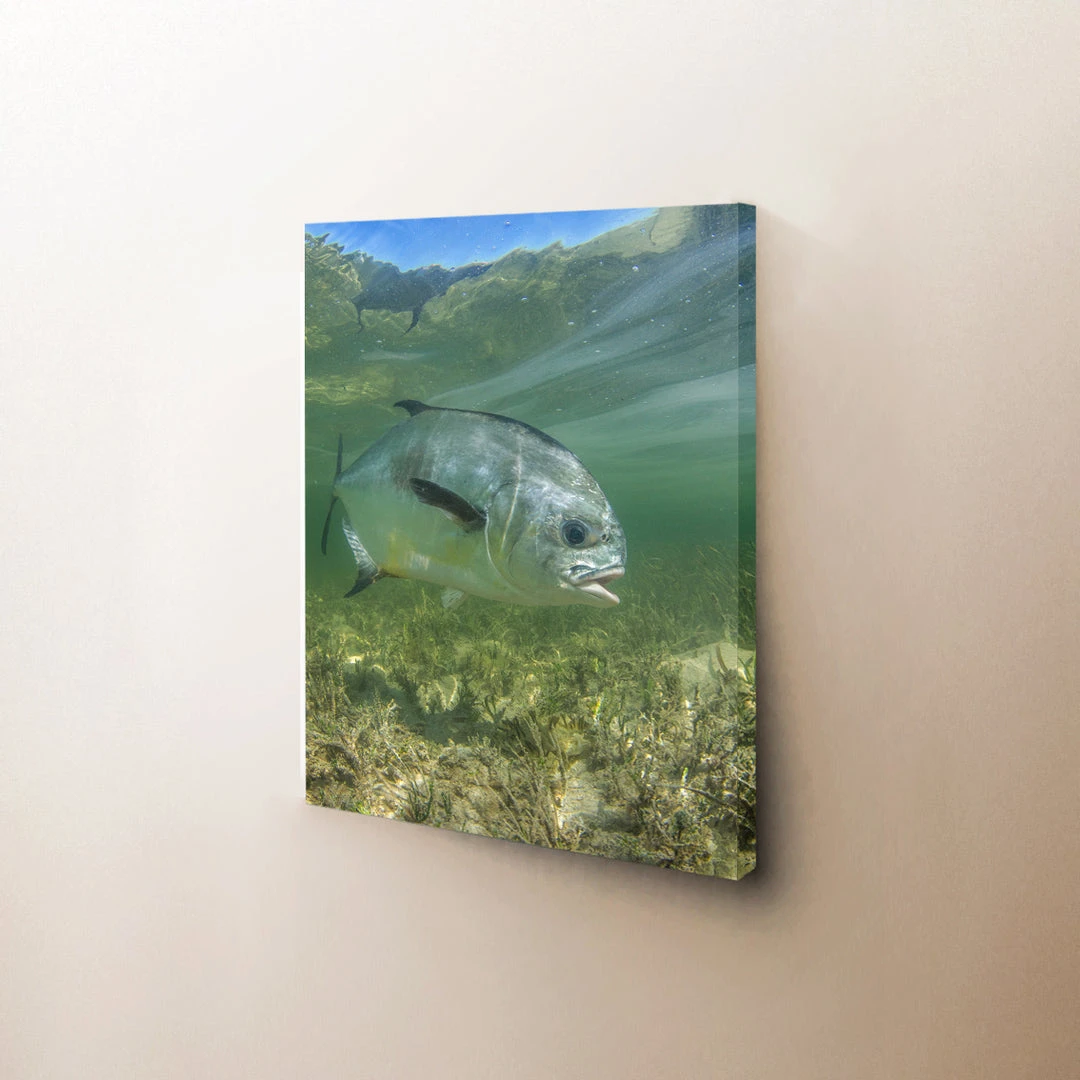 Thefishingshop Canvas Art Simply Swimming Canvas 1 Thefishingshop Canvas Art Simply Swimming Canvas