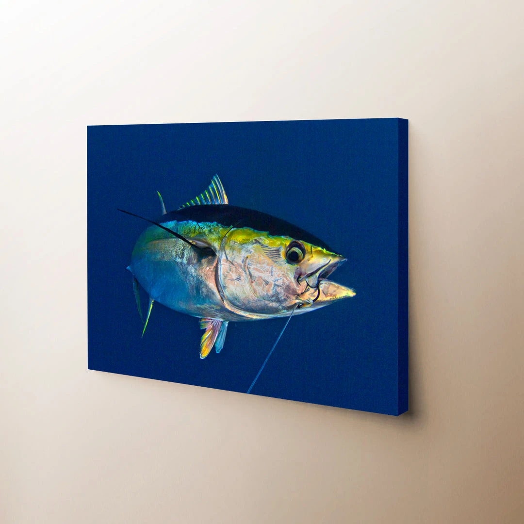 Thefishingshop Canvas Art Swim By Canvas 1 Thefishingshop Canvas Art Swim By Canvas